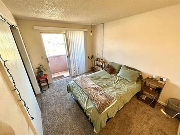 Cute and Cozy 1 Bedroom/1 Bathroom Apartment - Complex is Gated — Photo 7