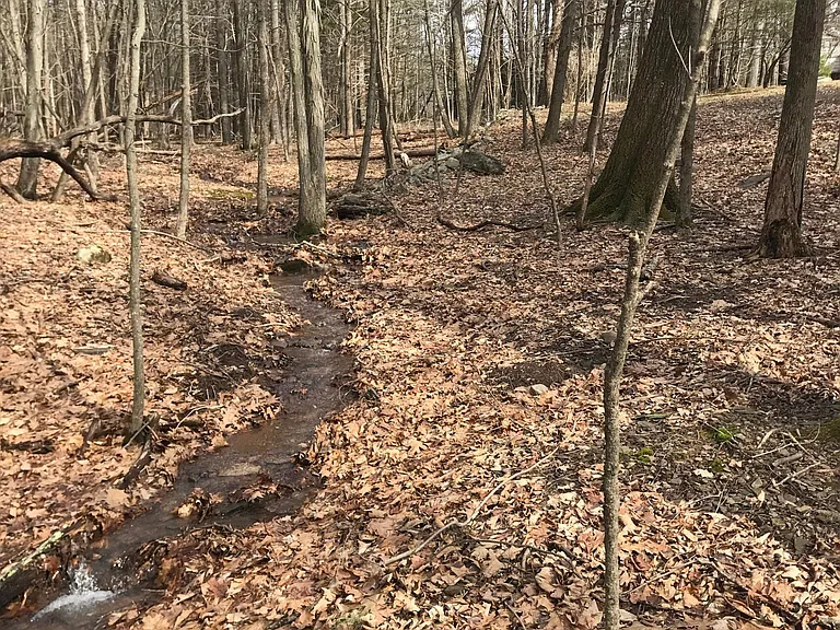 51 Saugerties Rd — Photo 29