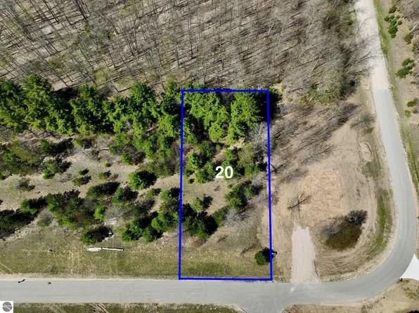 6525 Jeffrey Pl Lot 20, Grawn, MI 49637