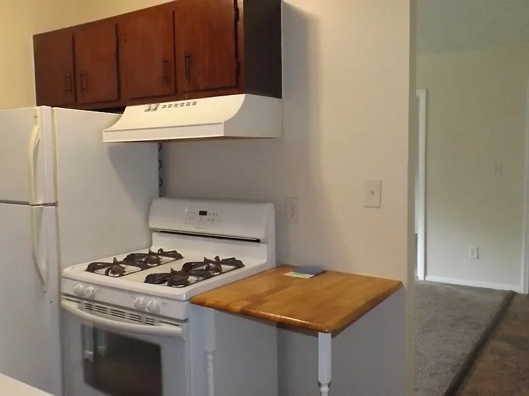 841 Silver Meadows Blvd — Photo 13