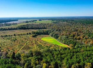 2249 High Way #49, Plains, GA 31780