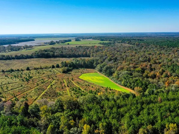 2249 High Way #49, Plains, GA 31780