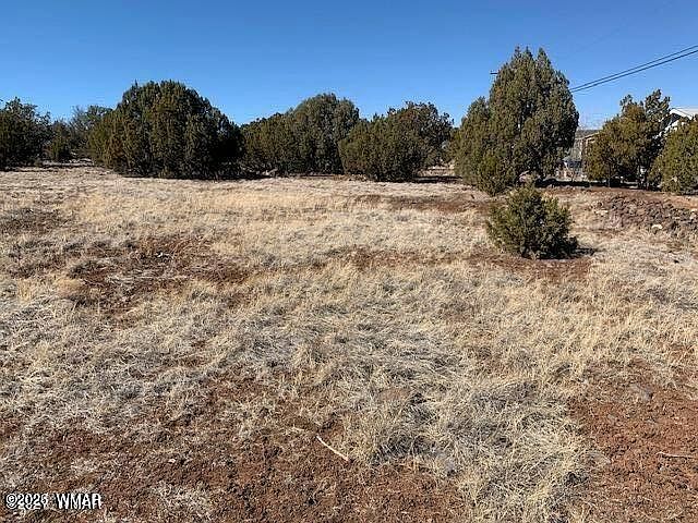 2nd image of 8580 Silver Creek Dr