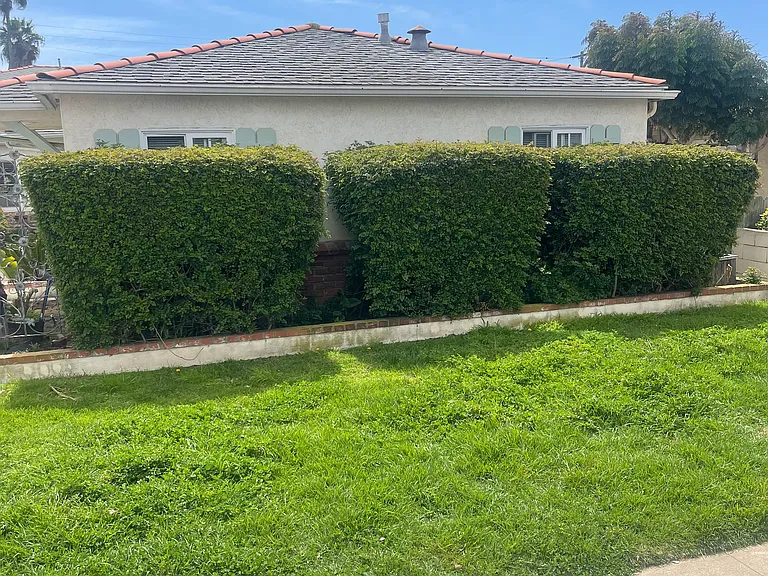 825 Emerald St #825 — Photo 5