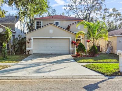 8715 Morrison Oaks Ct, Temple Terrace, FL, 33637