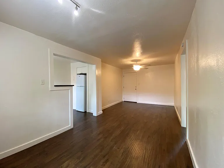 The Albert — Photo 18