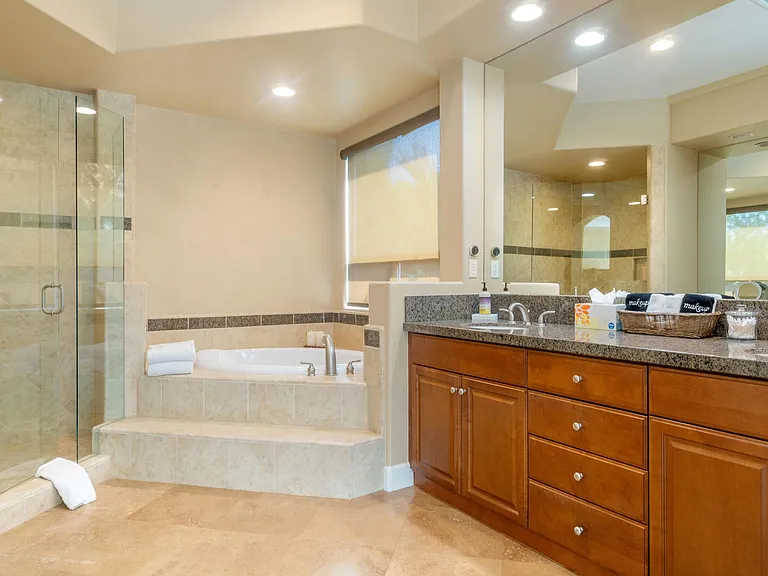 Master Suite Bathroom