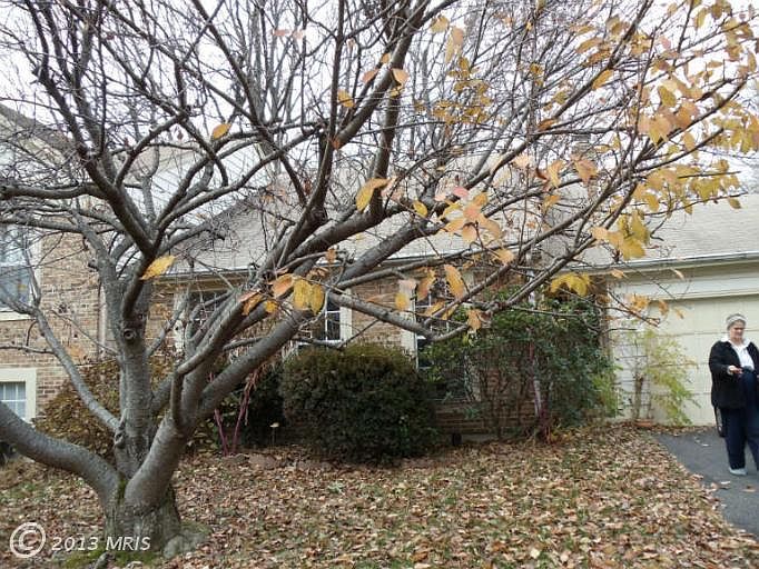 2nd image of 5900 Wood Sorrels Ct