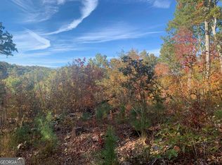 LOT 46 Foxridge Ct, Ellijay, GA 30540
