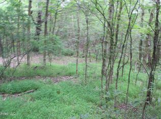 499 Graham Rd, Coldwater, MS 38618