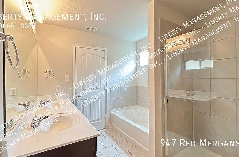 947 Red Merganser — Photo 28