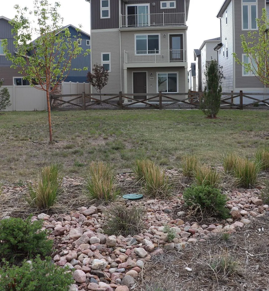 3 bed, 2308 sqft, $2,295 — Photo 3