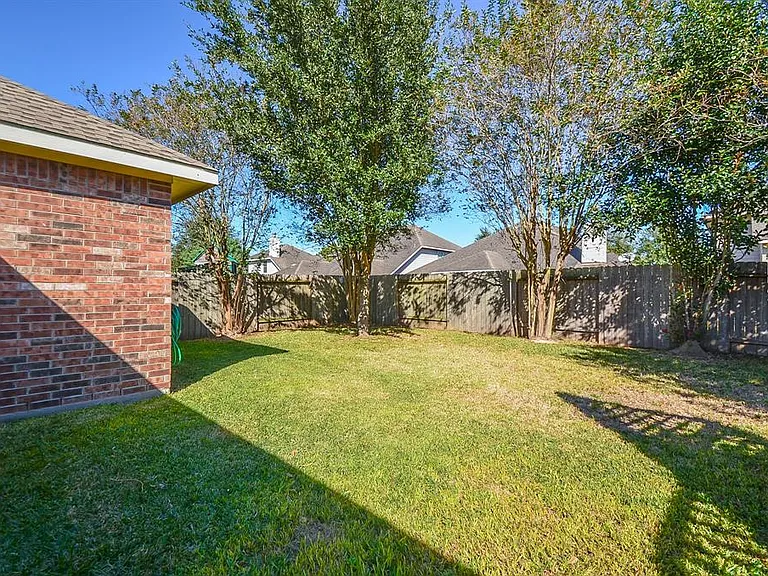 Backyard Area