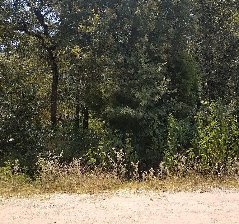 2nd image of 120 Rust Rd