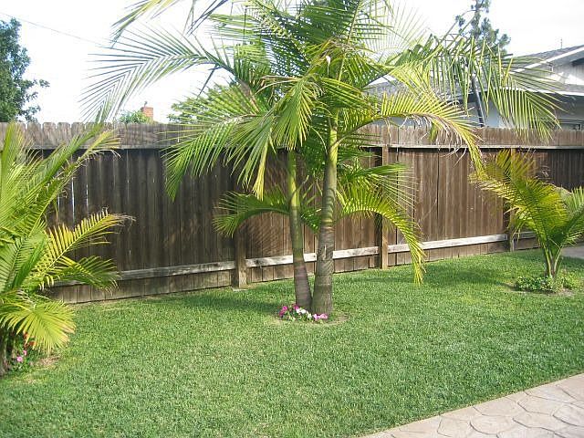 Tropical Landscape