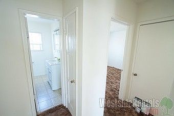 5th image of 537 E 99th St APT C