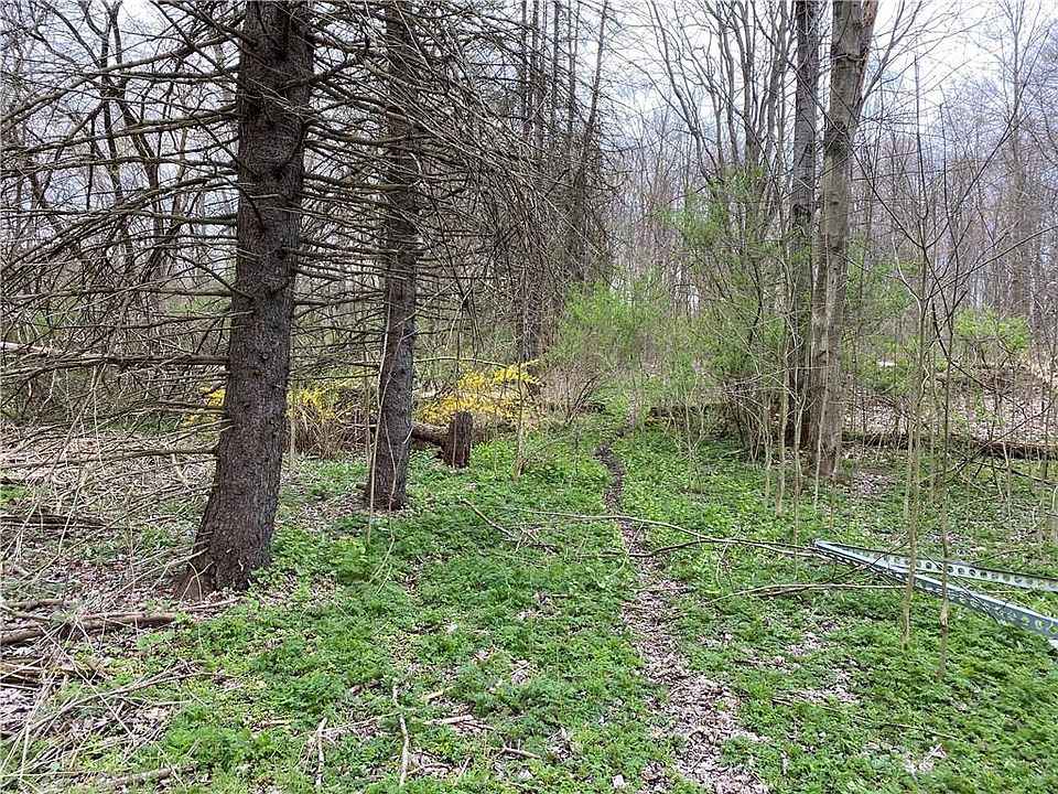 2nd image of Franklin Pike