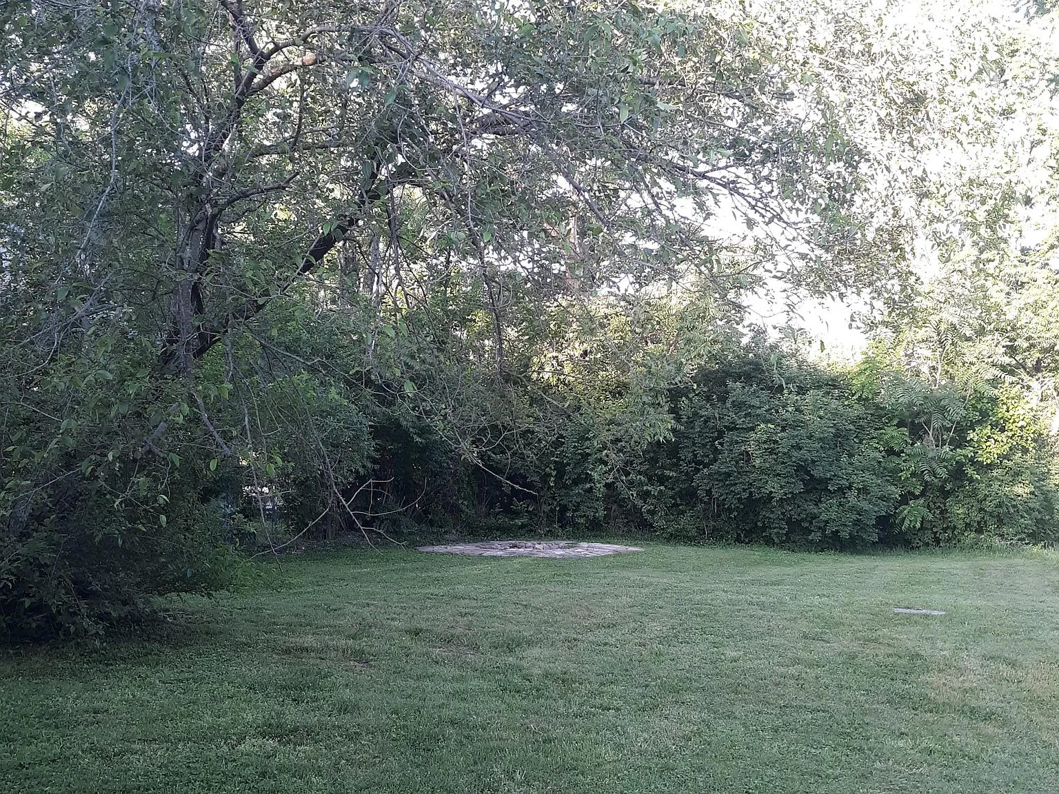2507 Eugenia Avenue — Photo 3
