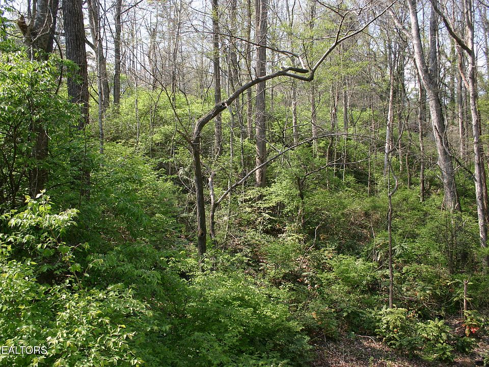 2nd image of LOT 12 Vanhorn Rd NE