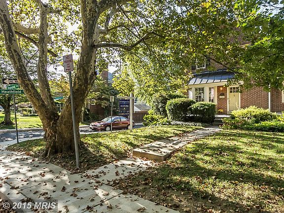 Beautiful Tree Lined Street