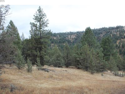 63996 Doe Trail Ln, Long Creek, OR, 97856