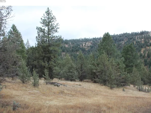 63996 Doe Trail Ln, Long Creek, OR 97856