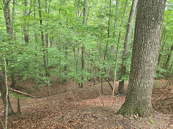 5th image of 476 Riverview Dr
