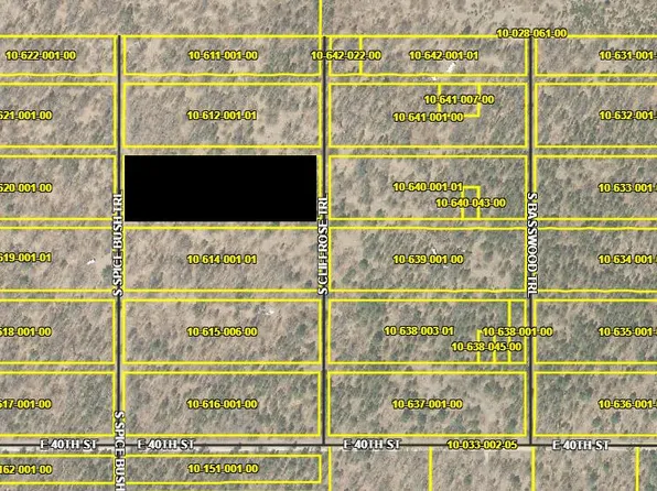 Spice Bush Trl #Townhouse 3, Idlewild, MI 49642