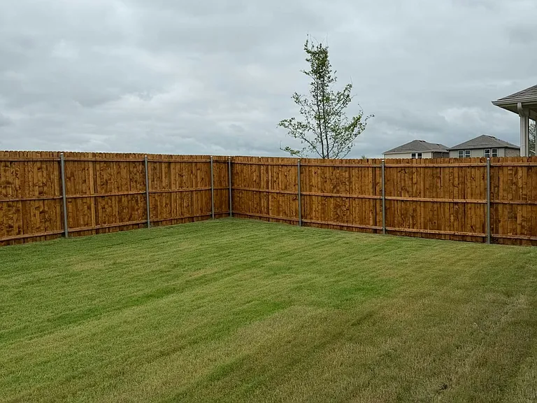 backyard-2