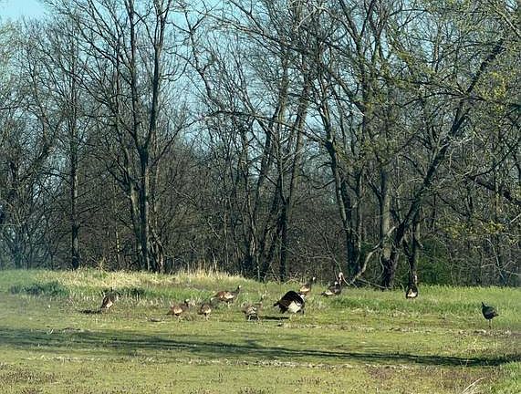 4th image of 3 & 4 Cemetery Hill Rd
