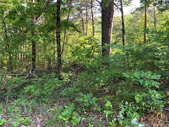 2nd image of 1335 Birch Ln #1335