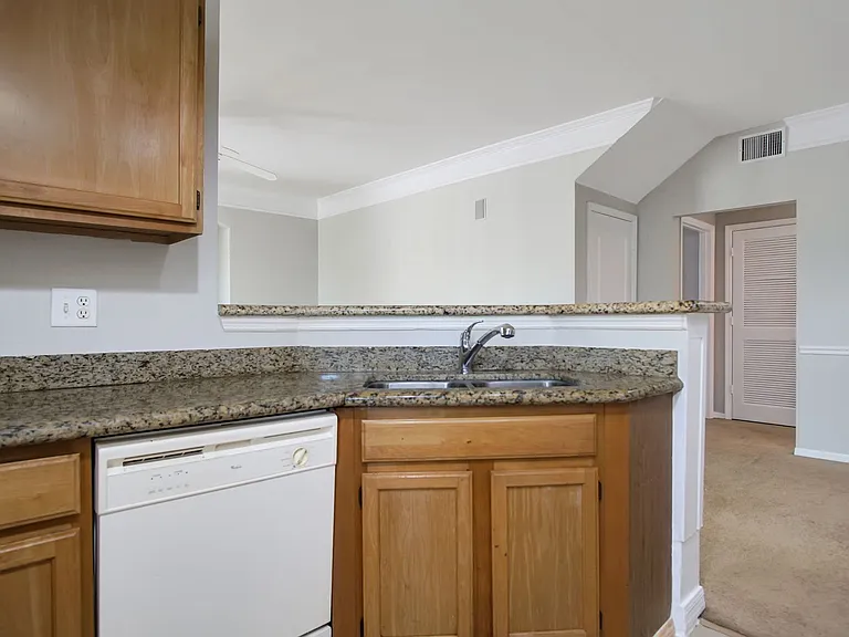 5002 Mangrove Aly #8102 — Photo 6