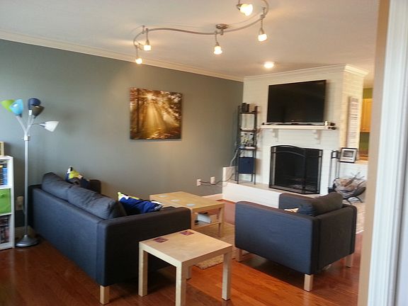 Wood-burning fireplace