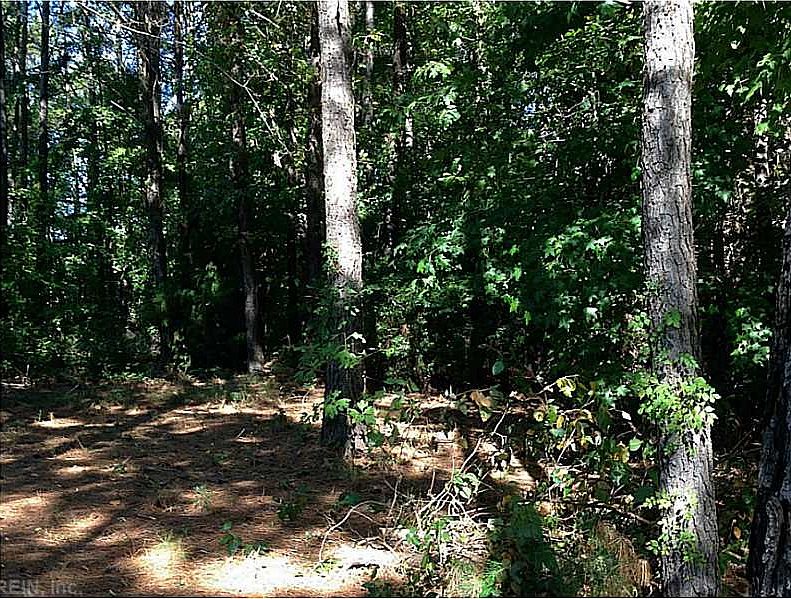2nd image of 2693 Shorehaven Dr