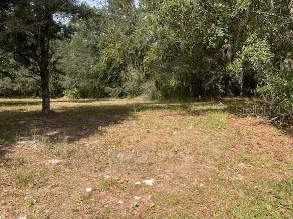 Golf Course Loop Lot 431, Wesley Chapel, FL 33544