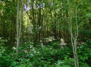 0 Bingham Collins Rd, Sherburne, NY 13460