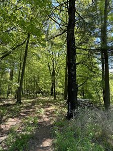 5226 Port Austin Rd, Caseville, MI, 48725