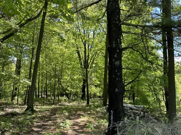 5227 Port Austin Rd, Caseville, MI 48725