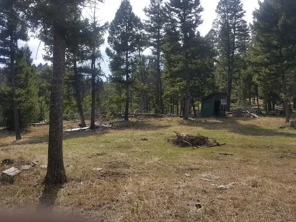 LOT 28 Twin Peaks Rd, Helmville, MT 59843