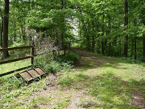 3rd image of 0 Pine Ct #15