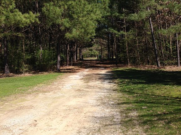 Yard view of driveway