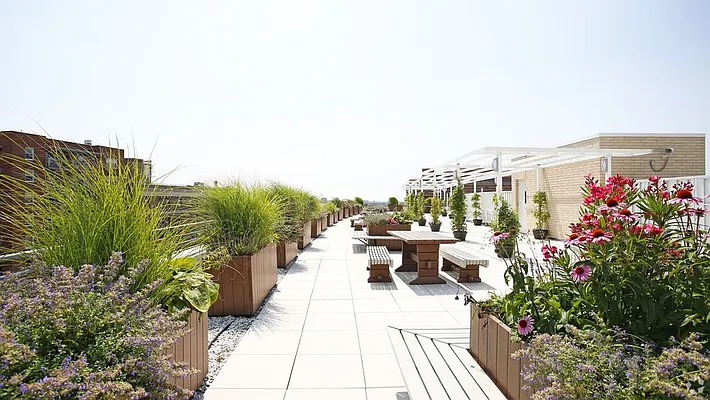 Rented by The Dermot Realty Management Company | media 29