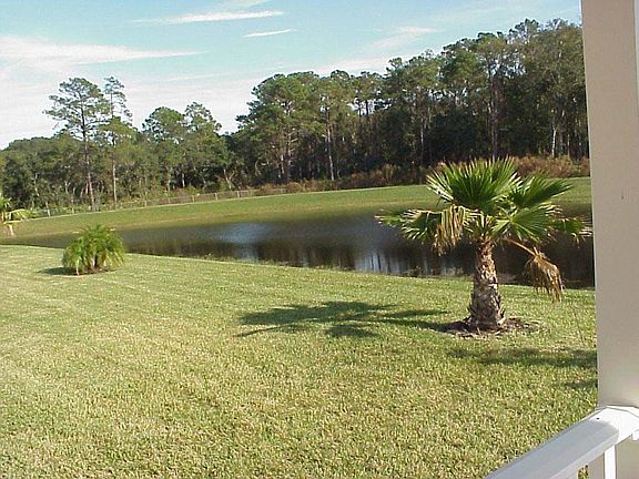 Wonderful backyard views