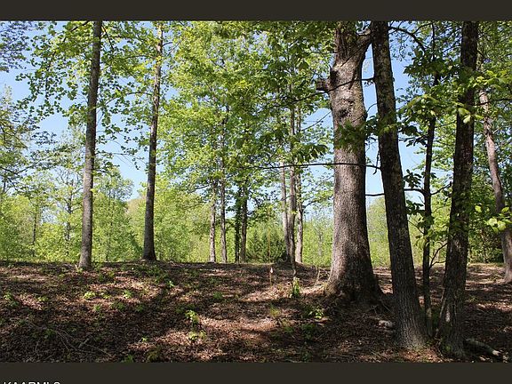 4th image of LOT 30 Emory Cove Dr