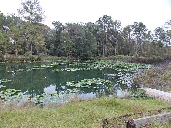 3rd image of 3120 Goose Creek Ln
