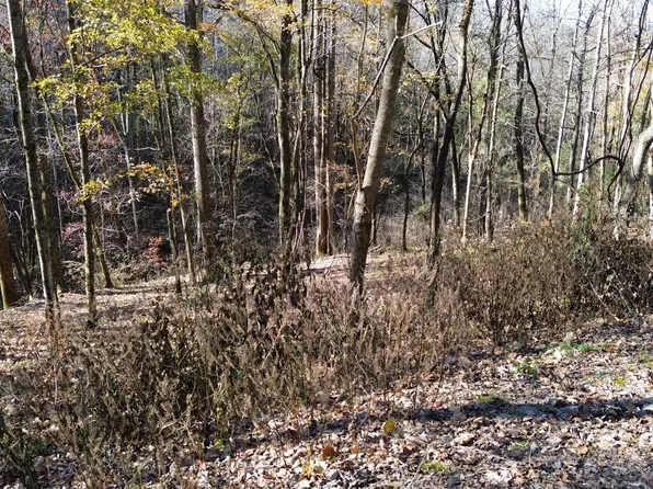 16 Lake View Ct Lot 16, Smithville, TN 37166