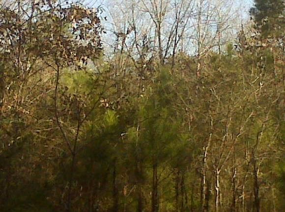 2nd image of Fielders Cemetery Rd