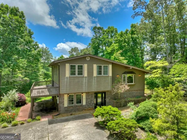 423 Chinquapin Rd, Ellijay, GA 30536