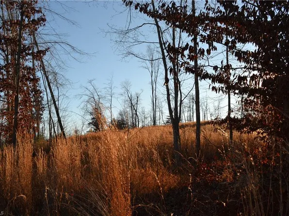 1676 State Highway 770, Stoneville, NC 27048