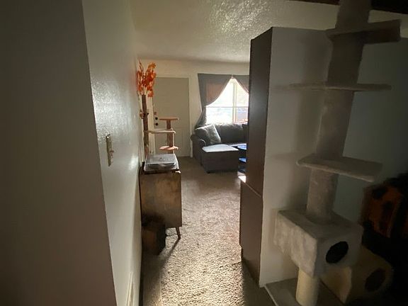 4th image of 520 Hickory St #524